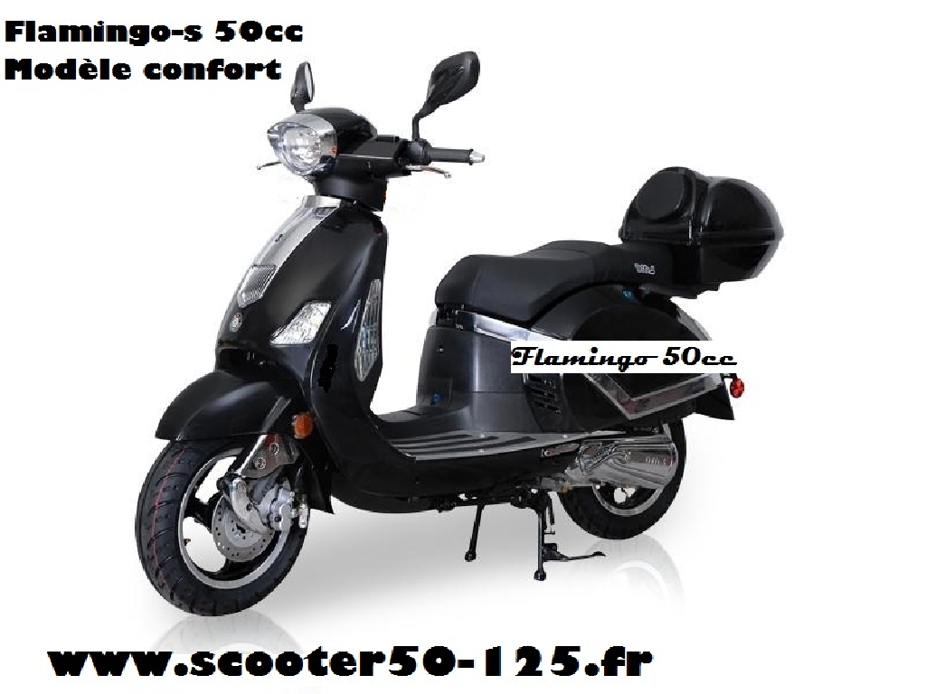 Scooter ZNEN Flamingo-s 50  occasion