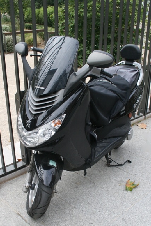 Scooter PEUGEOT Elystar 50  occasion